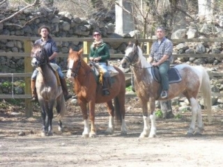 Disfruta del mundo de los caballos